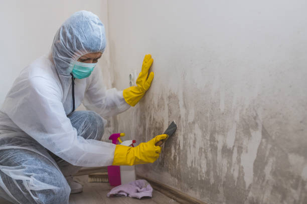 Best Industrial Mold Remediation in Grand Ronde, OR