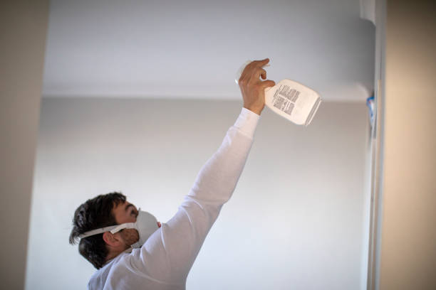 Best Health and Safety Mold Remediation in Grand Ronde, OR