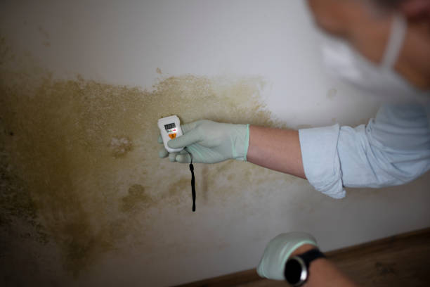 Best Mold Remediation for Specific Building Types in Grand Ronde, OR