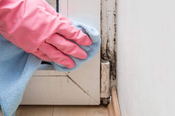Best Mold Testing and Inspection Services in Grand Ronde, OR